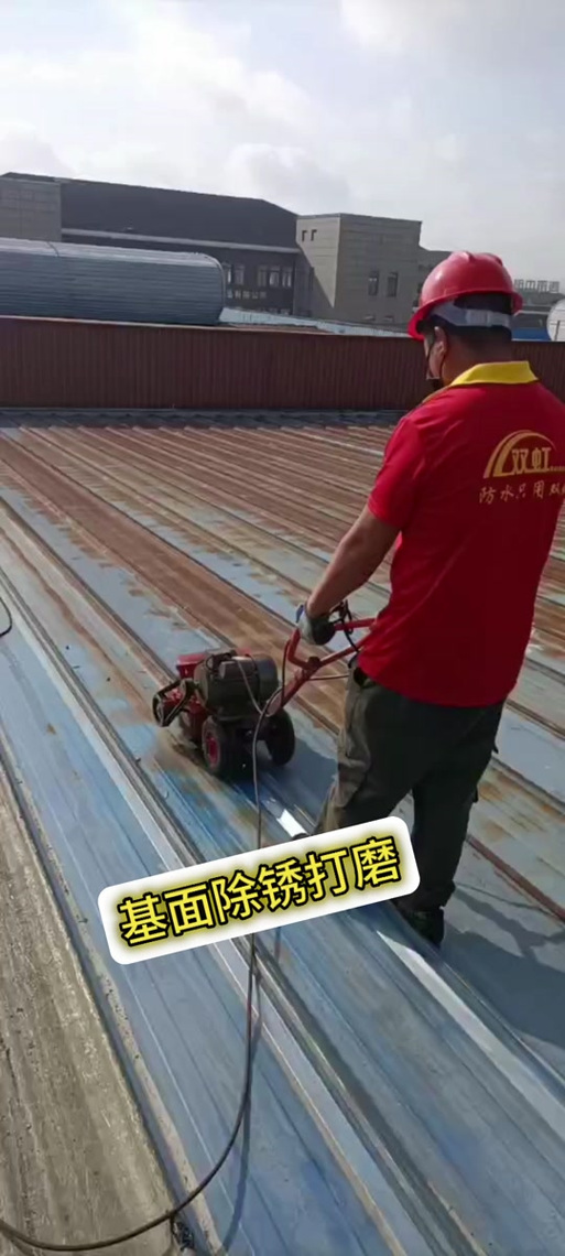 双虹防水工厂彩钢瓦隔热翻新施工